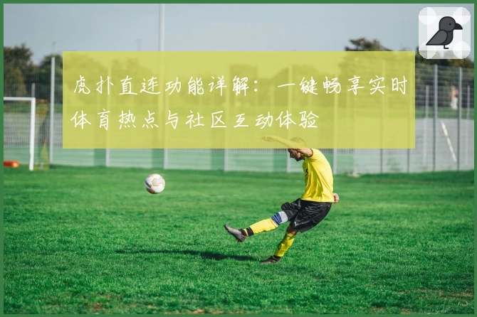 虎扑直连功能详解：一键畅享实时体育热点与社区互动体验