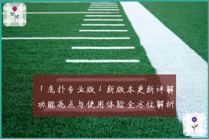 「虎扑专业版」新版本更新详解:功能亮点与使用体验全方位解析