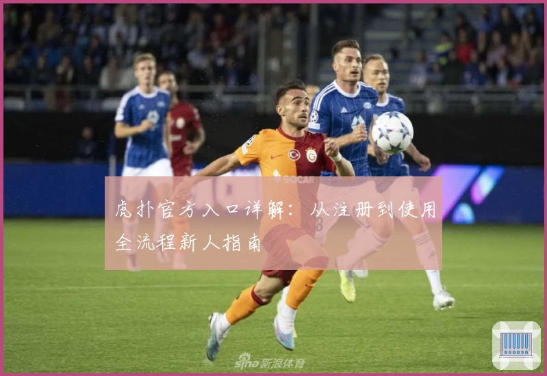 虎扑官方入口详解：从注册到使用全流程新人指南